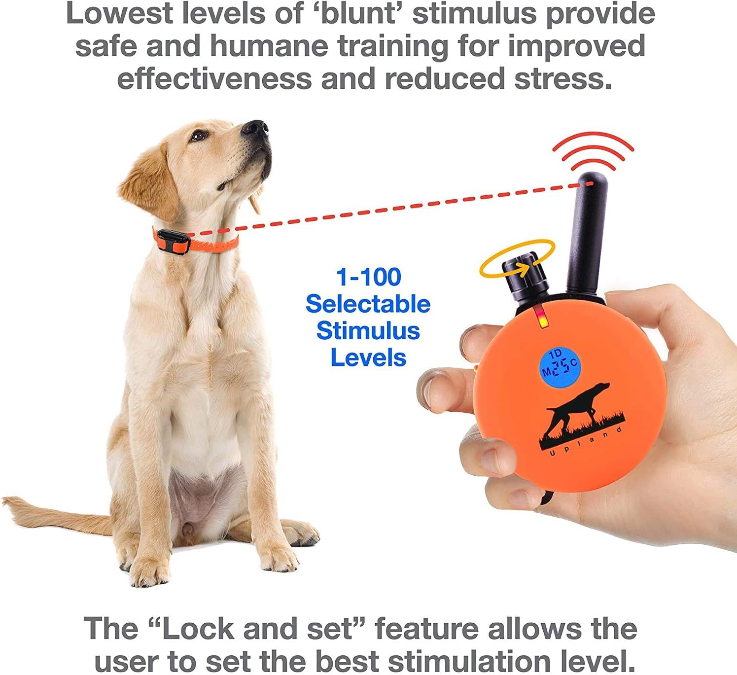 Educator Upland UL-1200 Hunting Dog Training Collar LED Light 1-2 Dog Behavior Trainer w/Handheld Remote- 60-Level Vibrations, 1-Mile Range - Includes eOutletdeals Travel Bowl (UL-1202-2 Dogs)