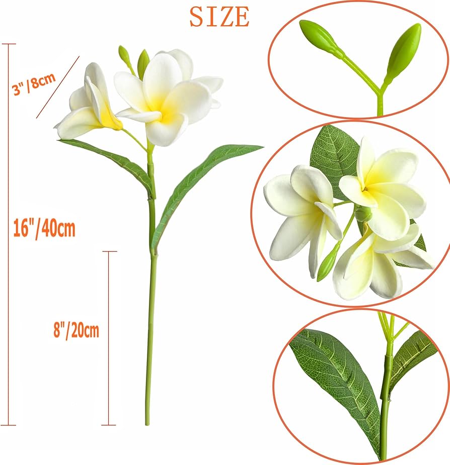 お値下中☆PLUMERIA※プロフ必読様 リクエスト 5点 まとめ商品 プルメリア様 リクエスト 2点 まとめ商品 ╰(*´︶`*)╯♡プルメリア様