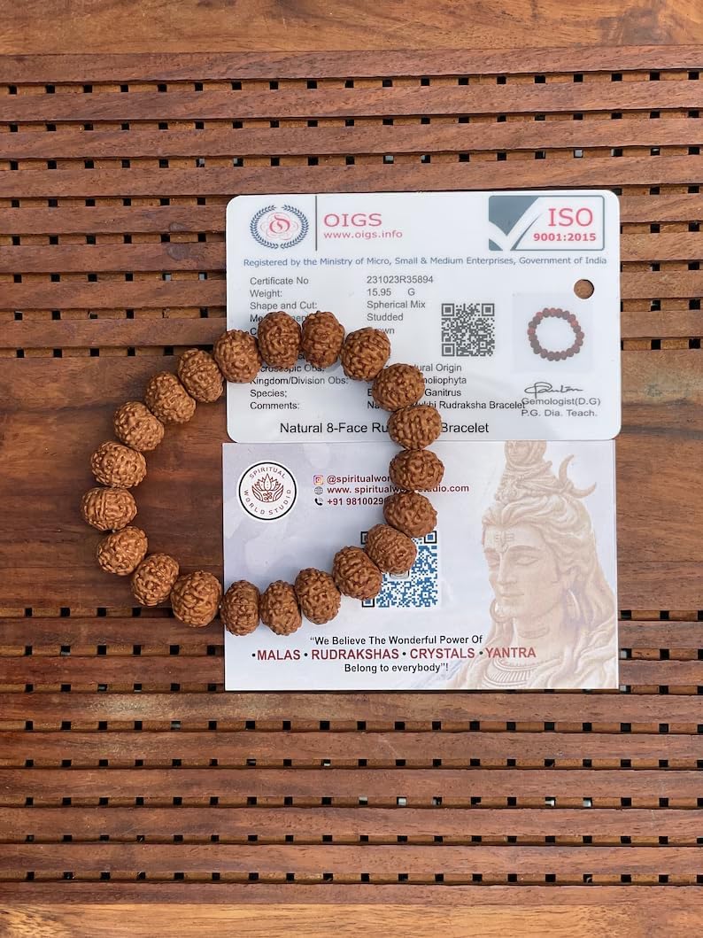 Rudraksha Lab certified 8 face Mukhi Bracelet- Healing Bracelet- Shiva bracelet - Japa - Chanting - Meditation