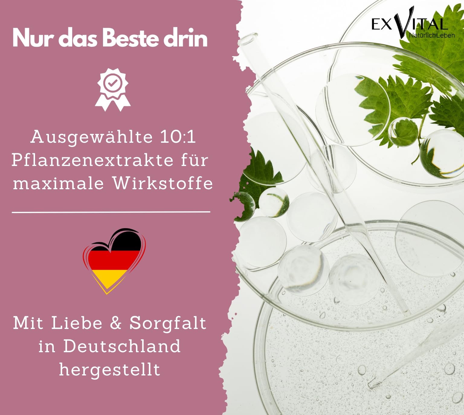 EXVital Biotin Komplex, Haar Vitamine, mit Sägepalmen-, Kürbis- und Brennnesselextrakt, 240 vegane Kapseln, angereichert mit Selen & Zink, laborgeprüft & hochdosiert (Packung mit 2)