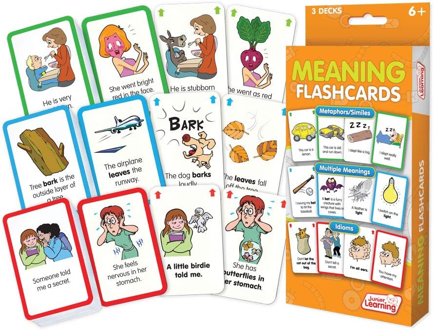 Junior Learning JL207 Meaning Flashcards, Multi