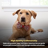 Vista 7 de Huxley & Kent Pajarita de Menta a Rayas para Mascotas Tamaño Pequeño Accesorio Navideño para Collar Pajaritas Divertidas para Perros y Gatos