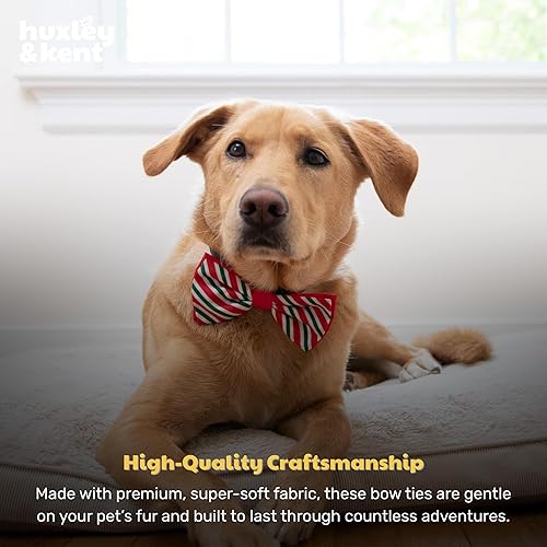 Miniatura 7 de Huxley & Kent Pajarita para mascotas  Rayas de menta (grande)  Accesorio de lazo de velcro para Navidad  Divertidas pajaritas para perros y gatos