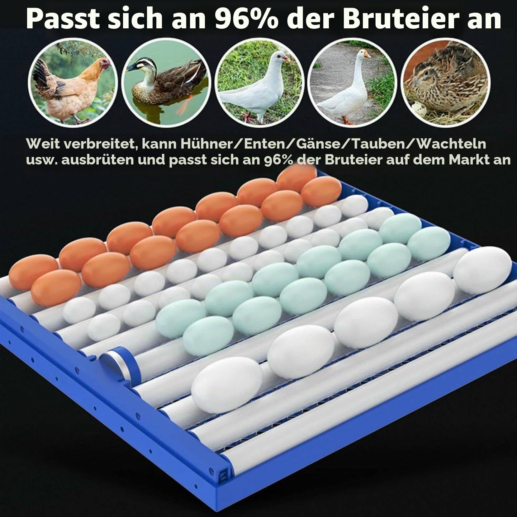 136/204/372/ 340 Eggs Incubator with Automatic Egg Turning and Automatic Water Addition, Humidity & Temperature Control ,Wi-Fi Function, Built-In Egg Candler, Incubators Kit for Farm Poultry 136Eggs