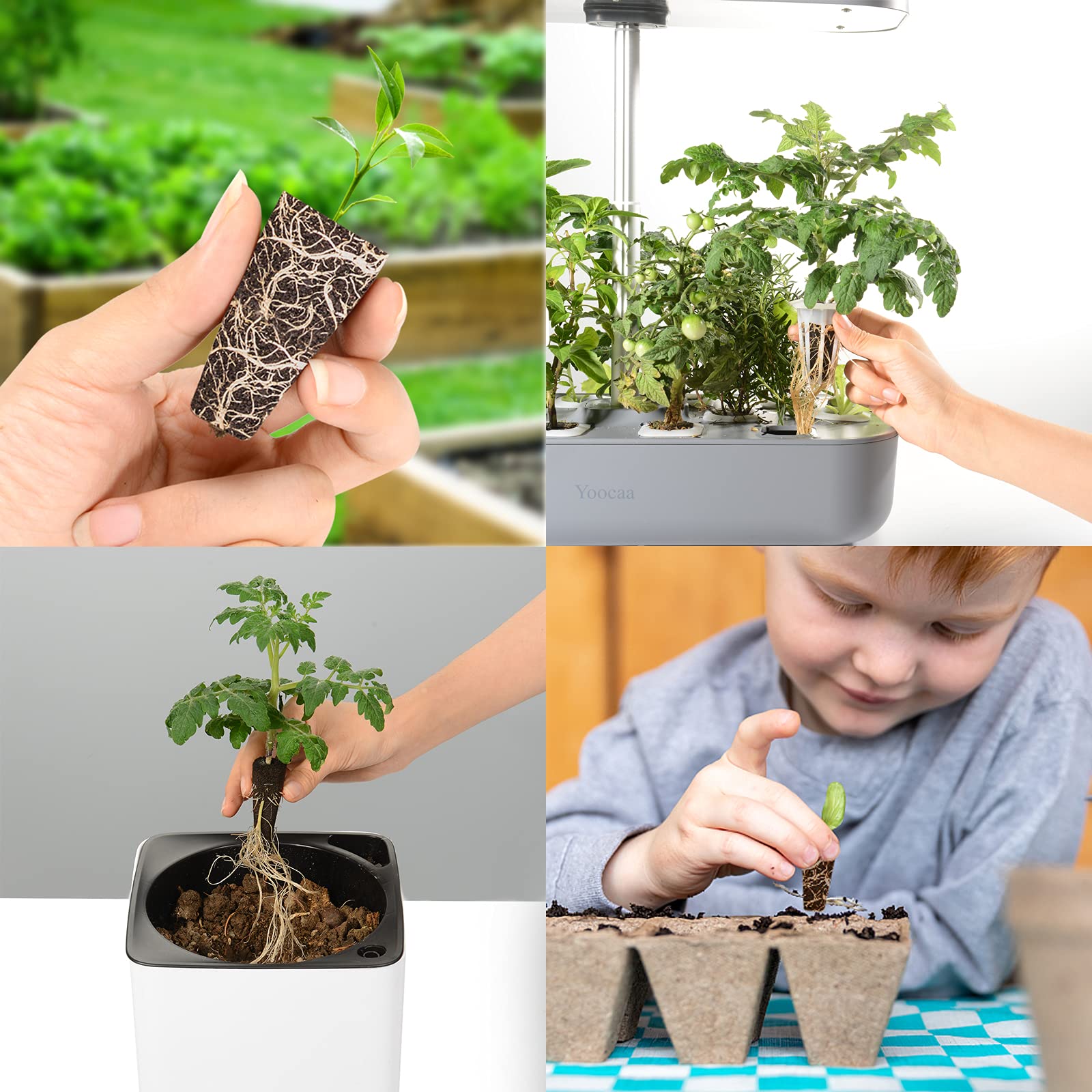 Buy Yoocaa Seed Pods Kit for Hydroponics Growing System, Seed Starter Pods with 24pcs Grow