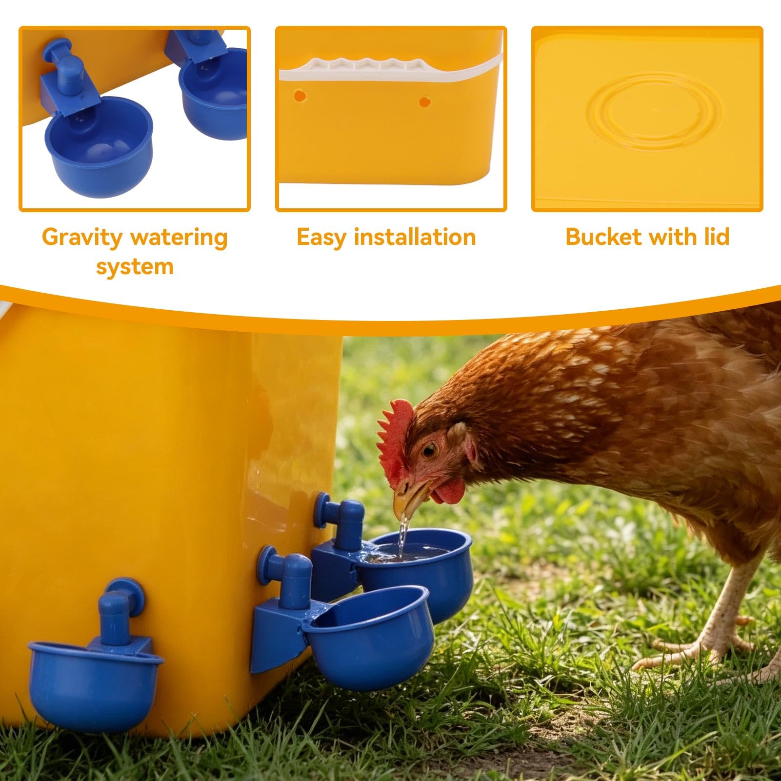 Abbeveratoio automatico per polli, tazze per mangiatoia per ciotola per abbeveratoio automatico per polli con secchio portatile da 12 litri Attrezzatura per bere pollame per (Secchio+Nuova ciotola