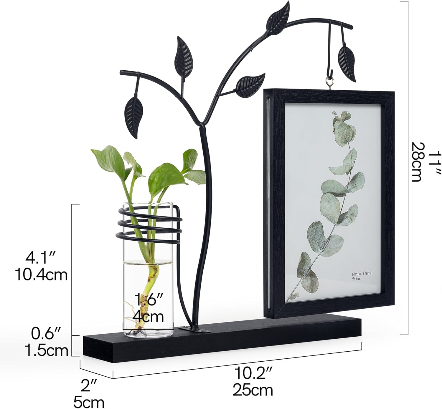 Sapowerntus 5x7 Picture Frames Black Family Desk Office Modern Photo Frame, Water Plants Flowers Floating Double Glass Vase Tabletop Standing Home Decor, Wedding Grandma Mother Mom Gift