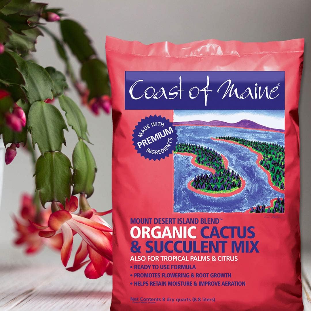 Coast of Maine - Mount Desert Island Blend - Organic Cactus and Succulent Mix, 8qt