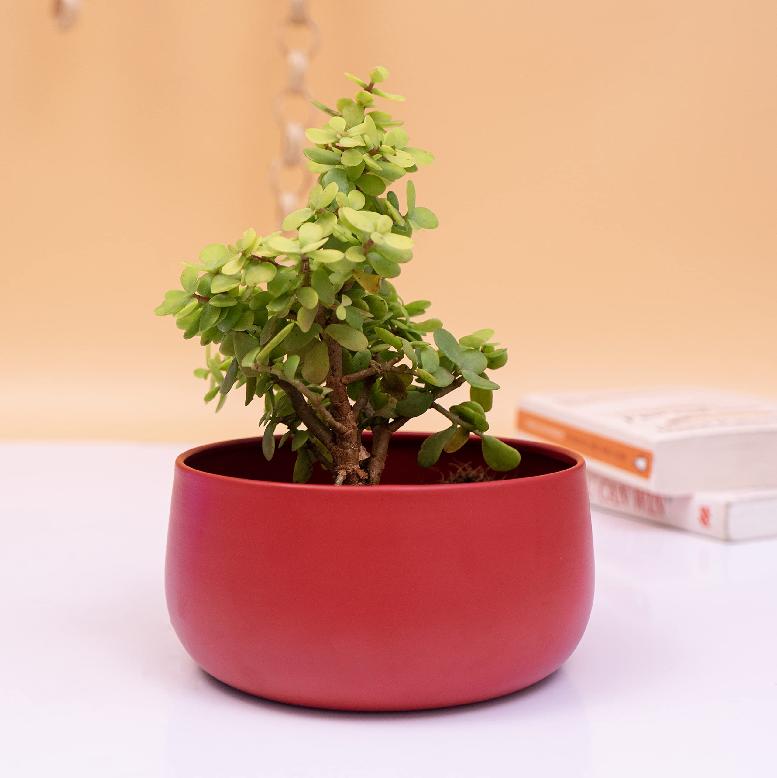 KYARI Decorative Metal Plant Pots, Indoor Small Planter Flower Pots with Drainage Hole, Home Garden Decor for Living Room Bedroom Interior (B09SLW87JK) Amazon Price History, Amazon Price Tracker