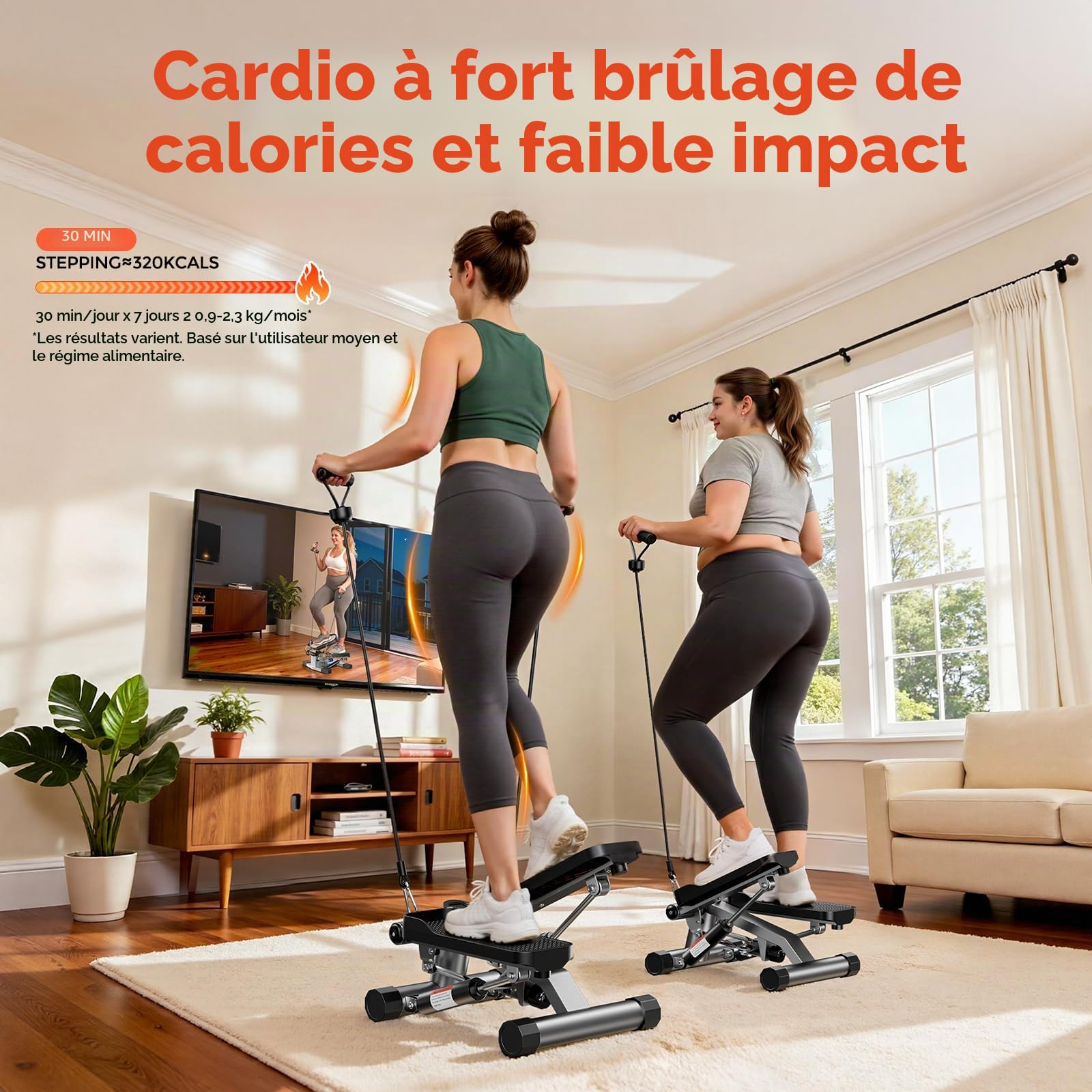 Sportsroyals Stepper d'escalier pour Exercices - Torsadé avec Bandes de résistance et capacité de Poids de 150 kg