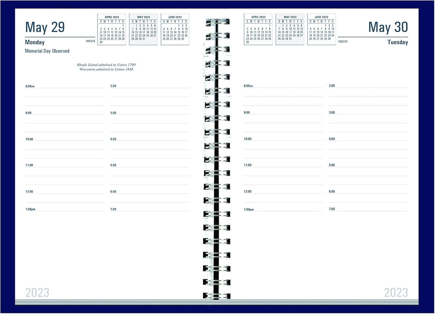 House of Doolittle 2023 Daily Appointment Calendar Planner, Academic, 5 1/4 x 8 1/2 Inches, July - June, Blue (HOD288507-23) : Office Products