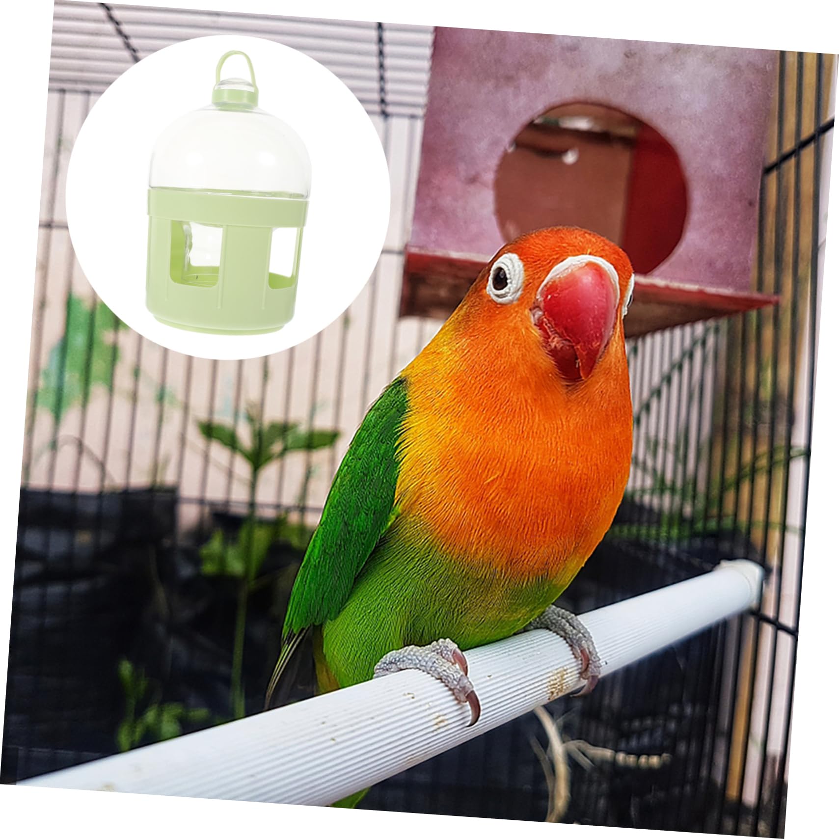 HANABASS 3piezas Dispenser De Agua para Aves De Bebedero Automático para Palomas y Codornices Contenedor De Plástico Suministro De Agua para Mascotas