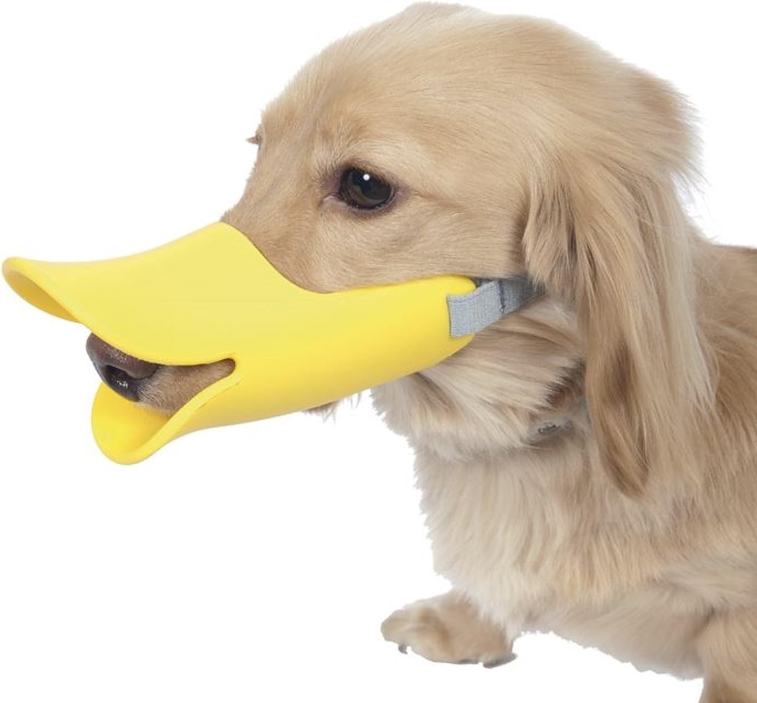 市場 犬用 カラバリ5色 Sサイズmサイズlサイズ あひる口 防止 拾い食い 犬外出便利グッズ 中型犬用 アヒル 大型犬用 小型犬用 口輪 無駄吠え 犬 用マズル