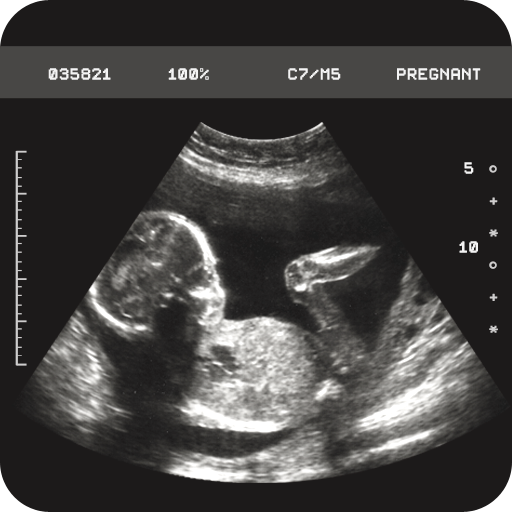 Pregnancy TestAmazon.co.jpAppstore for Android