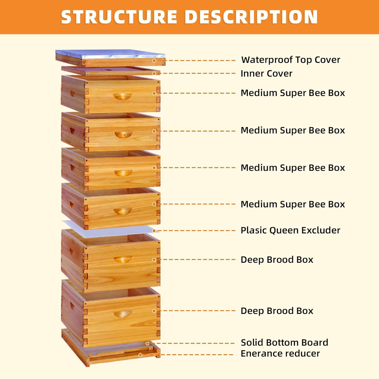 10 Frame Langstroth Beehive,Complete Beehive Kit Includes 2 Deep Brood Bee Hives Box, 4 Medium Super Bee Box (No Frame)