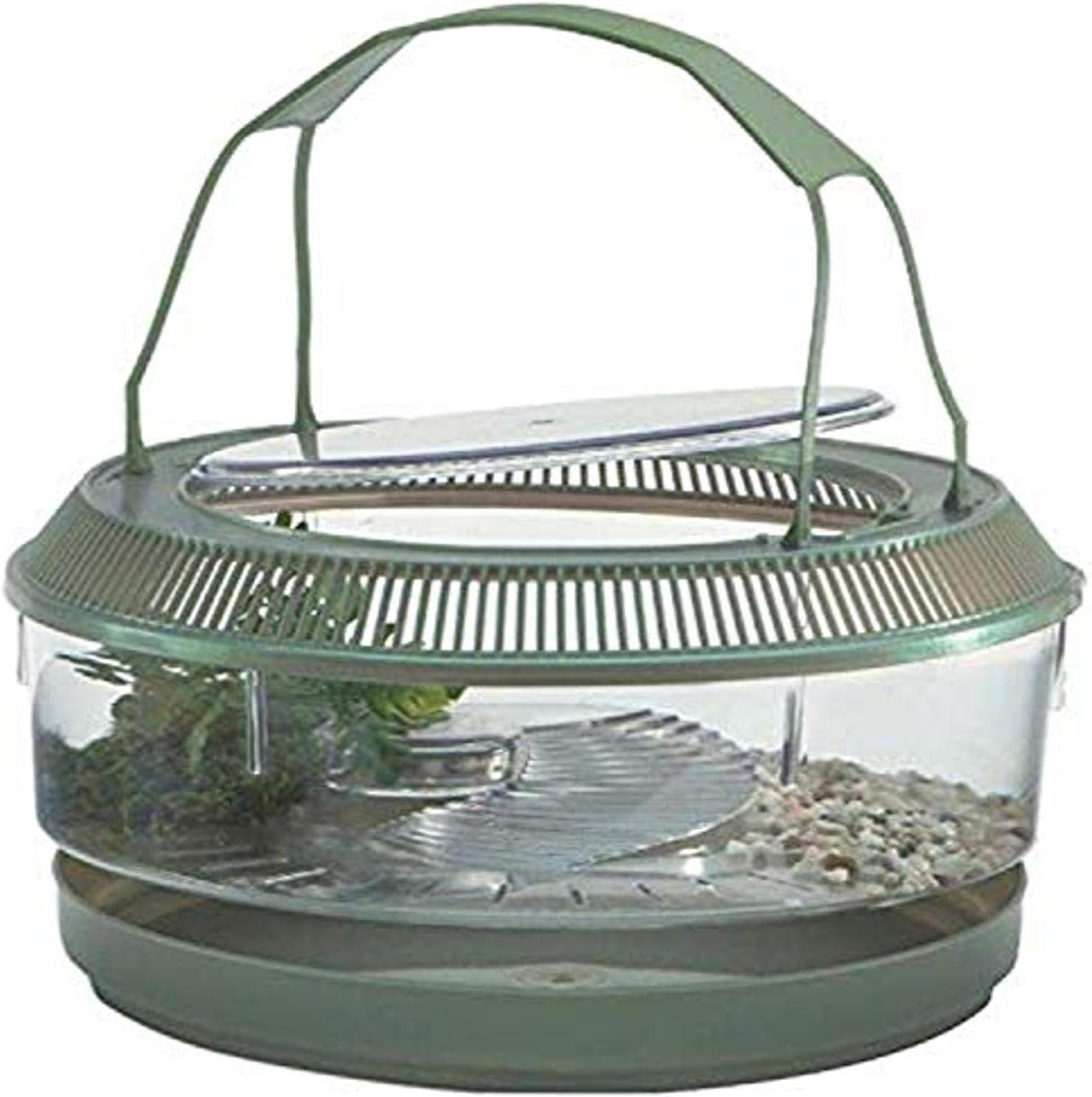 Lee's Fire Belly Landing, Round w/Lid, Handle, Tray, Plant