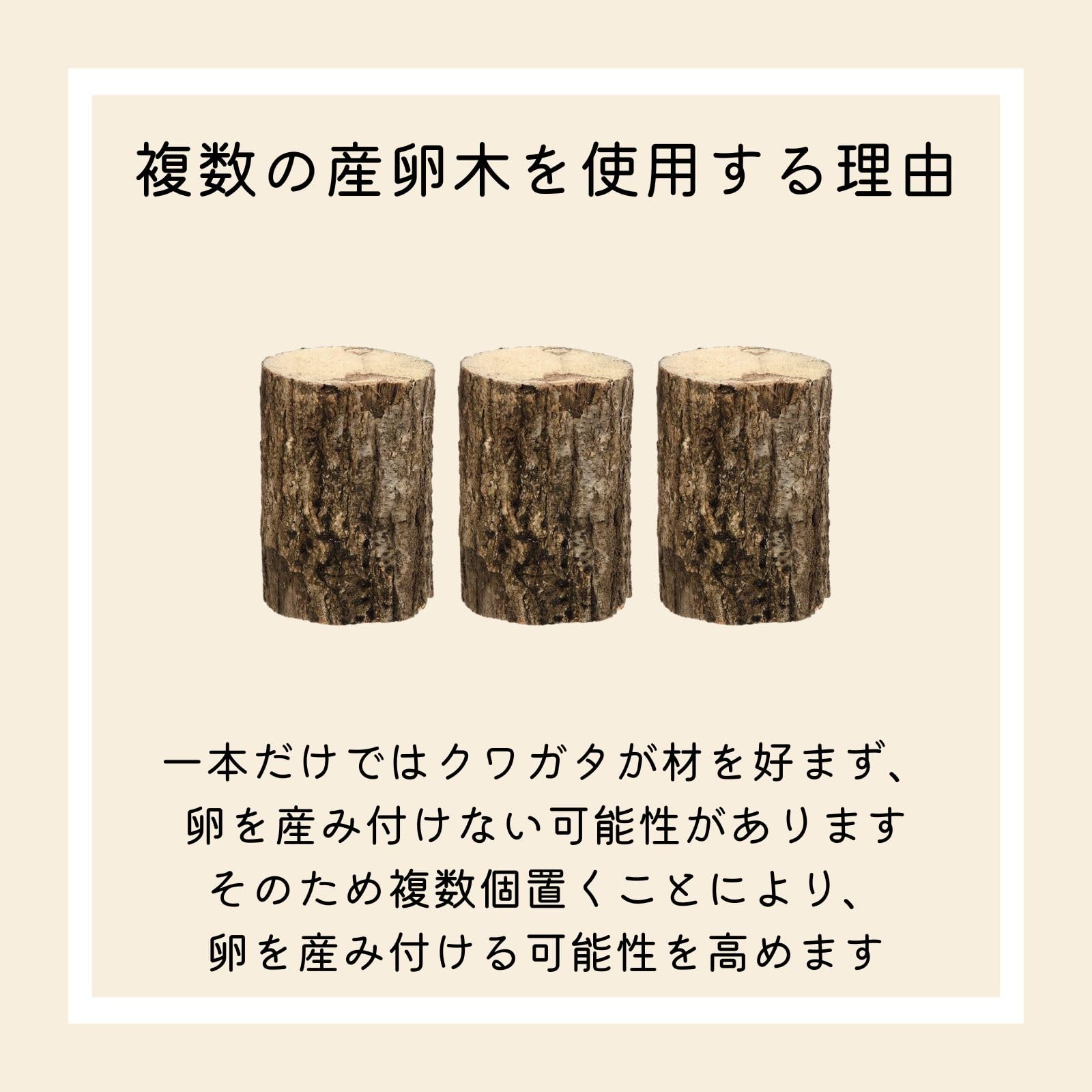Amazon | 【2本セット】 コナラ産卵木 Sサイズ（細目） 8cm程度