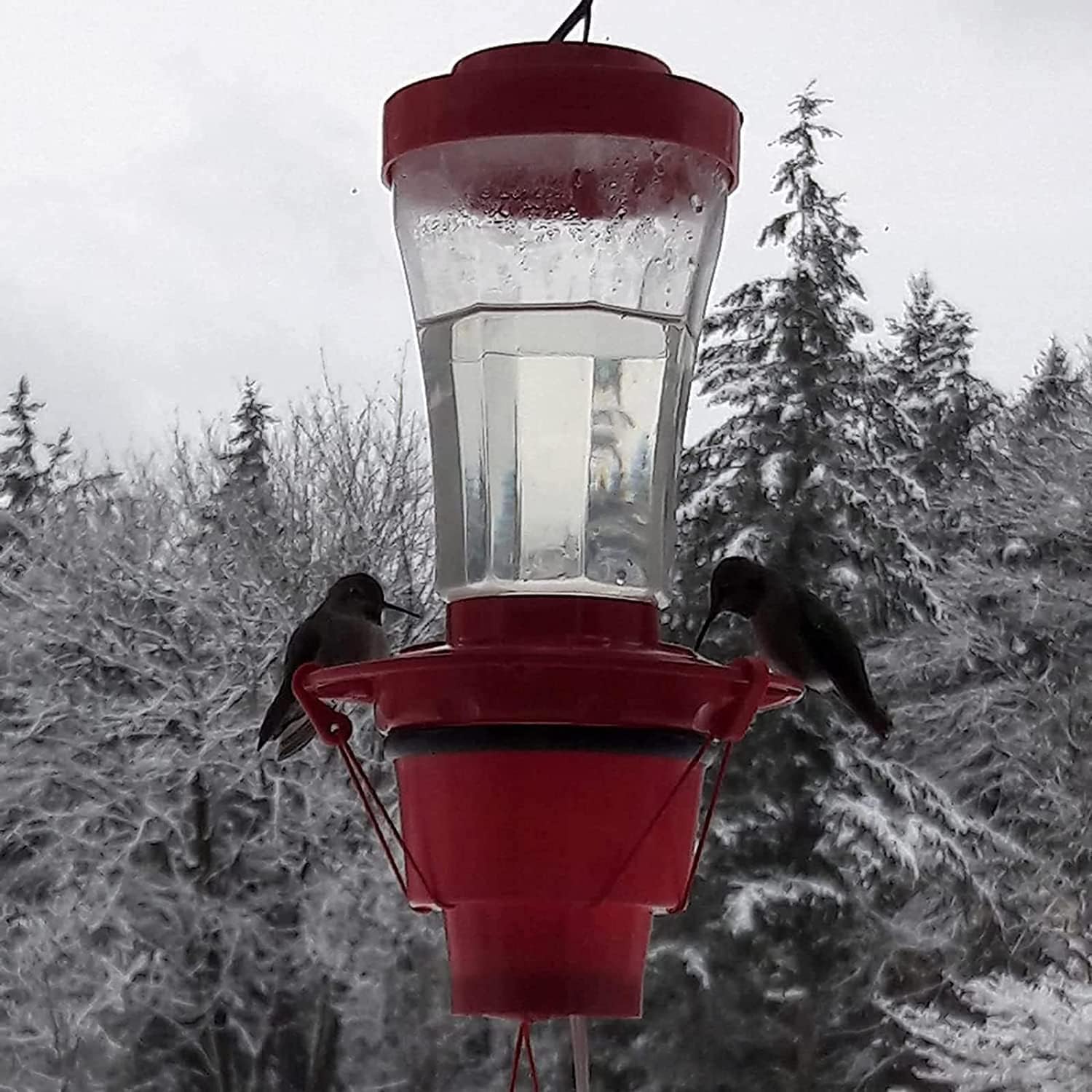 Hummingbird Feeder Heater for Outdoors, Heated Hummingbird