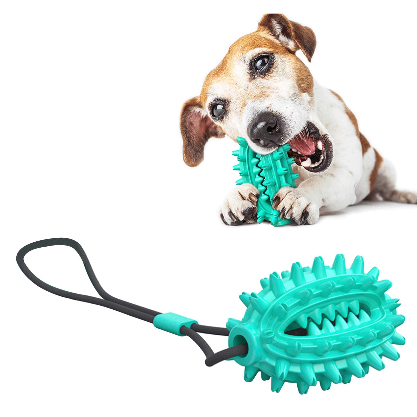 Can Dogs Smell Metal