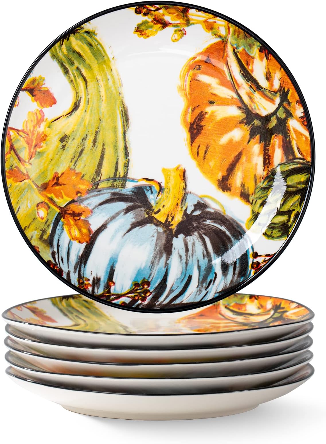 FORLONG FL8004 Ceramic Dinner Plates Set of 4 Kids