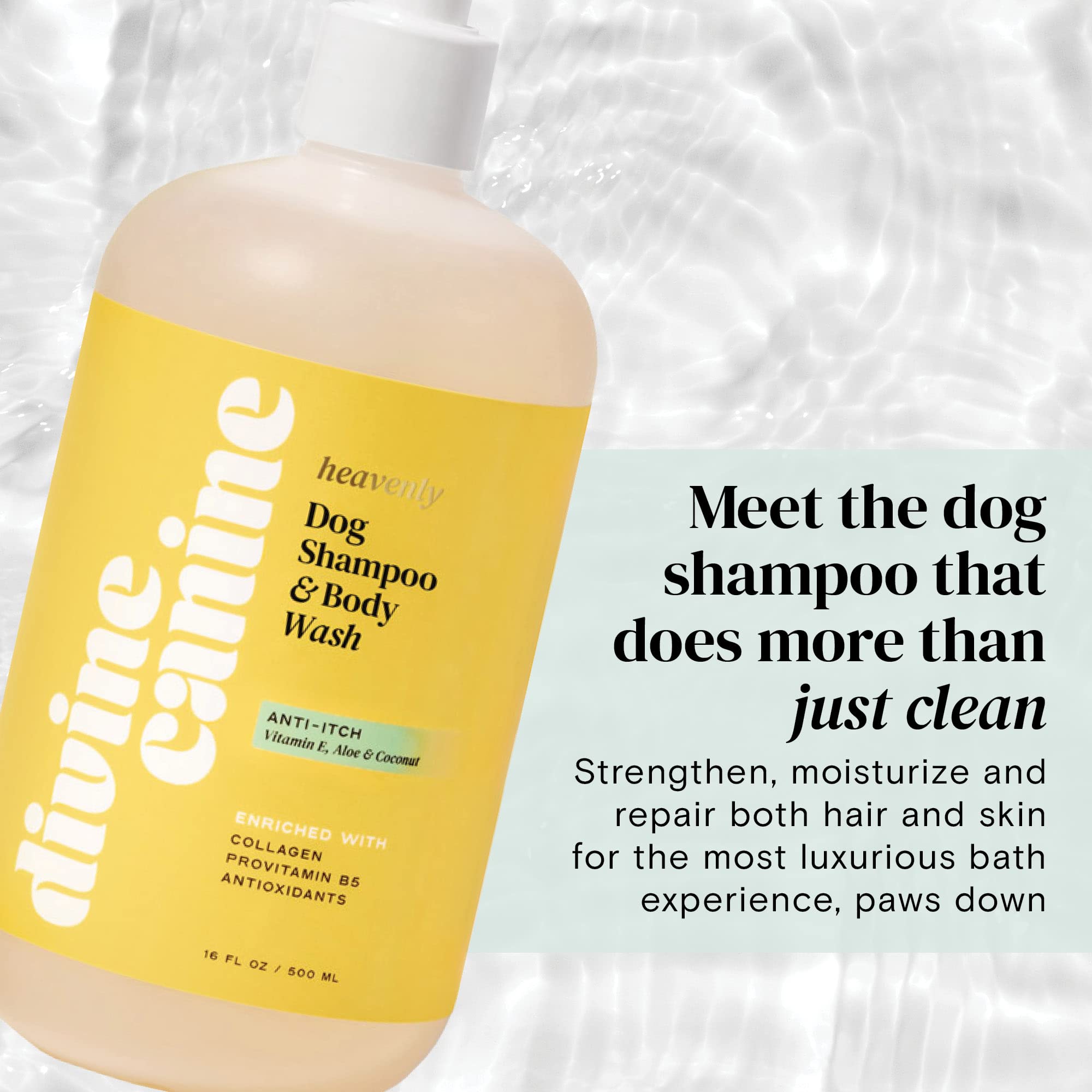 Can You Bathe Dogs With Human Body Wash at Juan Oxford blog