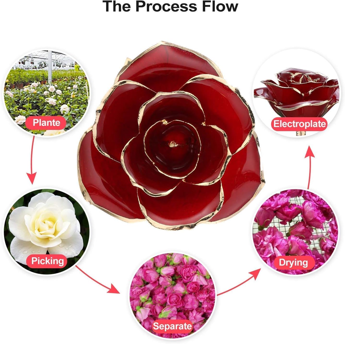 TECHSHARE 24K Gold Rose Red, Real Rose Long Stem Love Forever Flower with Beautiful Porcelain Vase Unique Anniversary for Her Women Girlfriend Valentine Day Thanksgiving Best Wedding Birthday