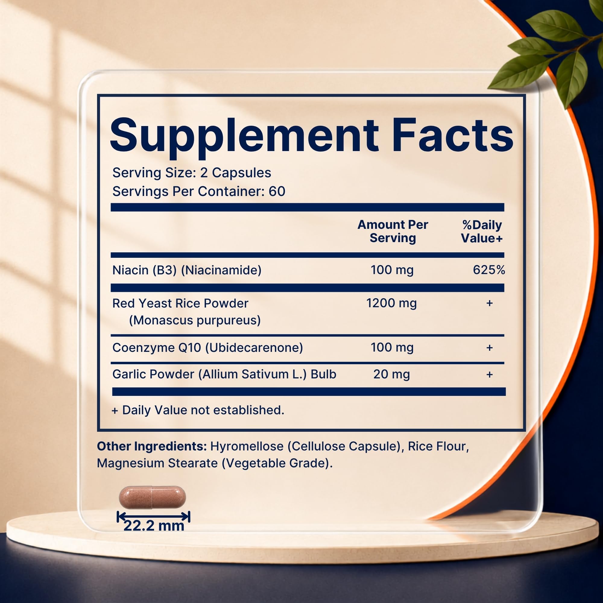 Vitamatic Citrinin-Free Red Yeast Rice 1200 mg. Capsules with CoQ10 100mg, Flush Free Niacin 100mg, & Garlic Powder 20mg - 120 Veg Capsules — Amazon image 2