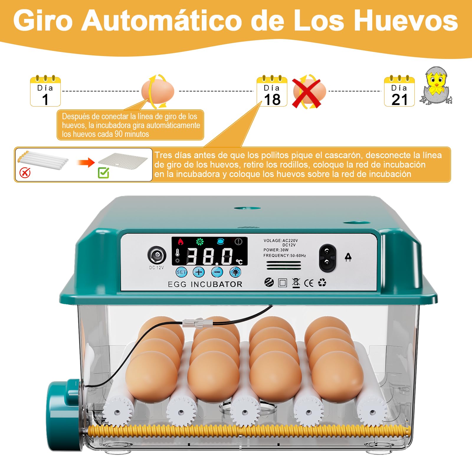CoInceptus Incubadora Huevos Gallina, Incubadora de 12-16 Huevos con Volteo Automático de Huevos y Adición Automática de Agua, Incubadoras para Huevos de Gallina, Codorniz, Pato