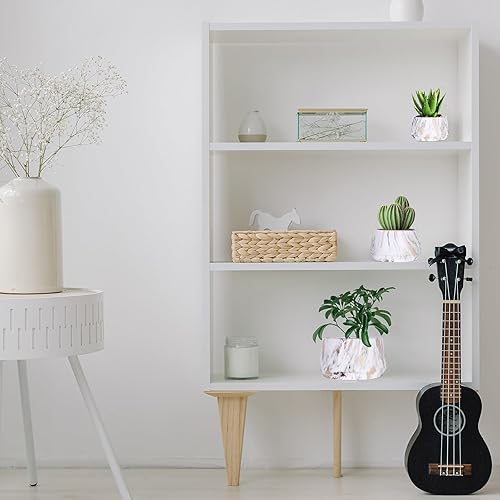 Miniatura 5 de Macetas, macetas para exteriores, para todos los jardines del hogar, suculentas (impresión de transferencia de agua)