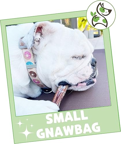 Vista 8 de Nature Gnaws Paquete variado para perros pequeños (12 unidades) – Bully Sticks, tendones de carne de res y giros para perros – Huesos naturales