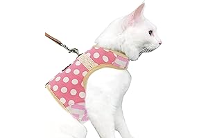 Yizhi Miaow Cat Harness and Leash for Walking