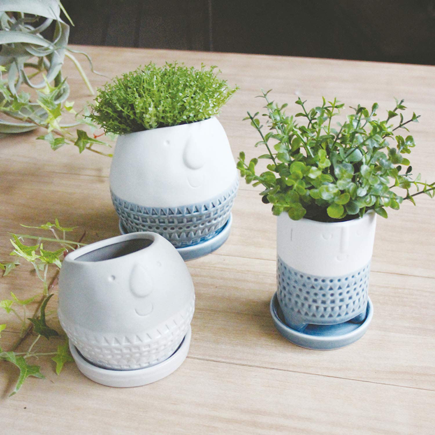 Amazon.co.jp: SPICE OF LIFE FTGK2911WH Flower Pot, Round Planter
