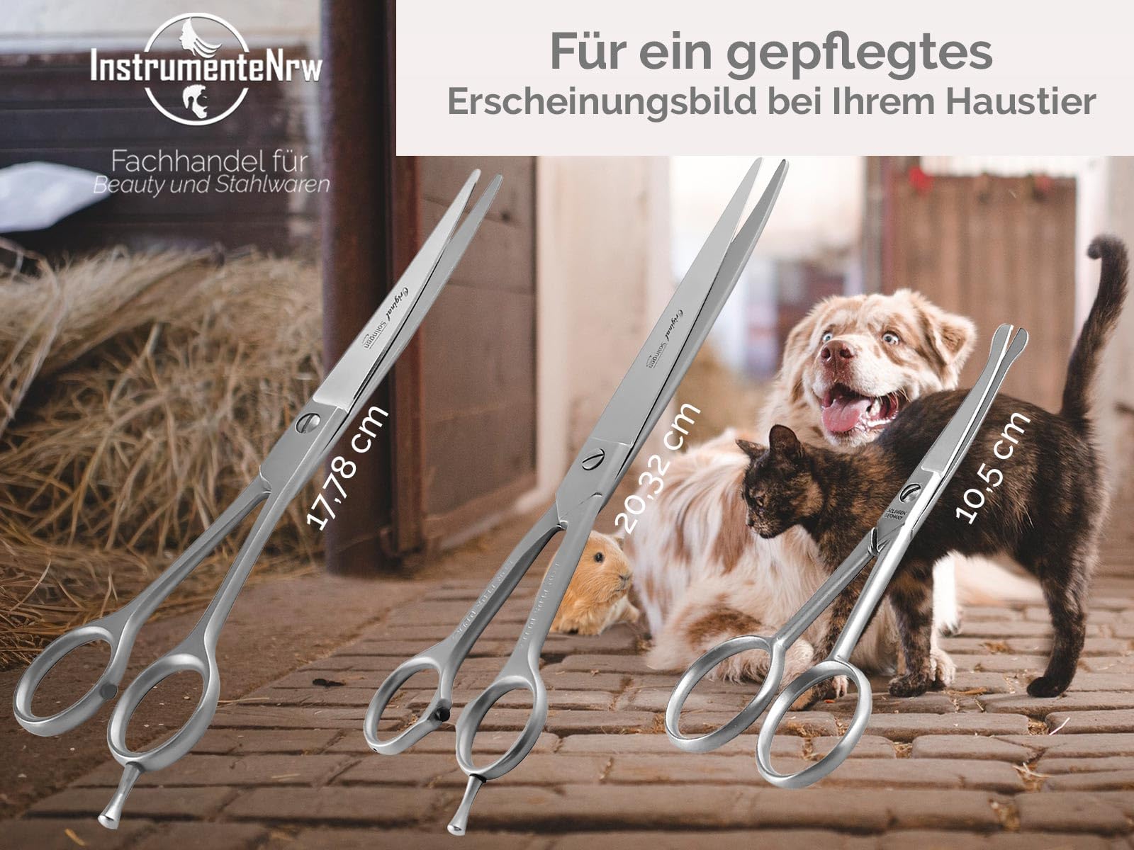 Solinger Premium Hundehaarscheren Fellscheren Set 3-Teiliges Scheren-Set | Solingen Made in Germany Rostfreier Edelstahl Gebogene und mikroverzahnte scharfe Schnittflächen & abgerundeten Scheren Enden