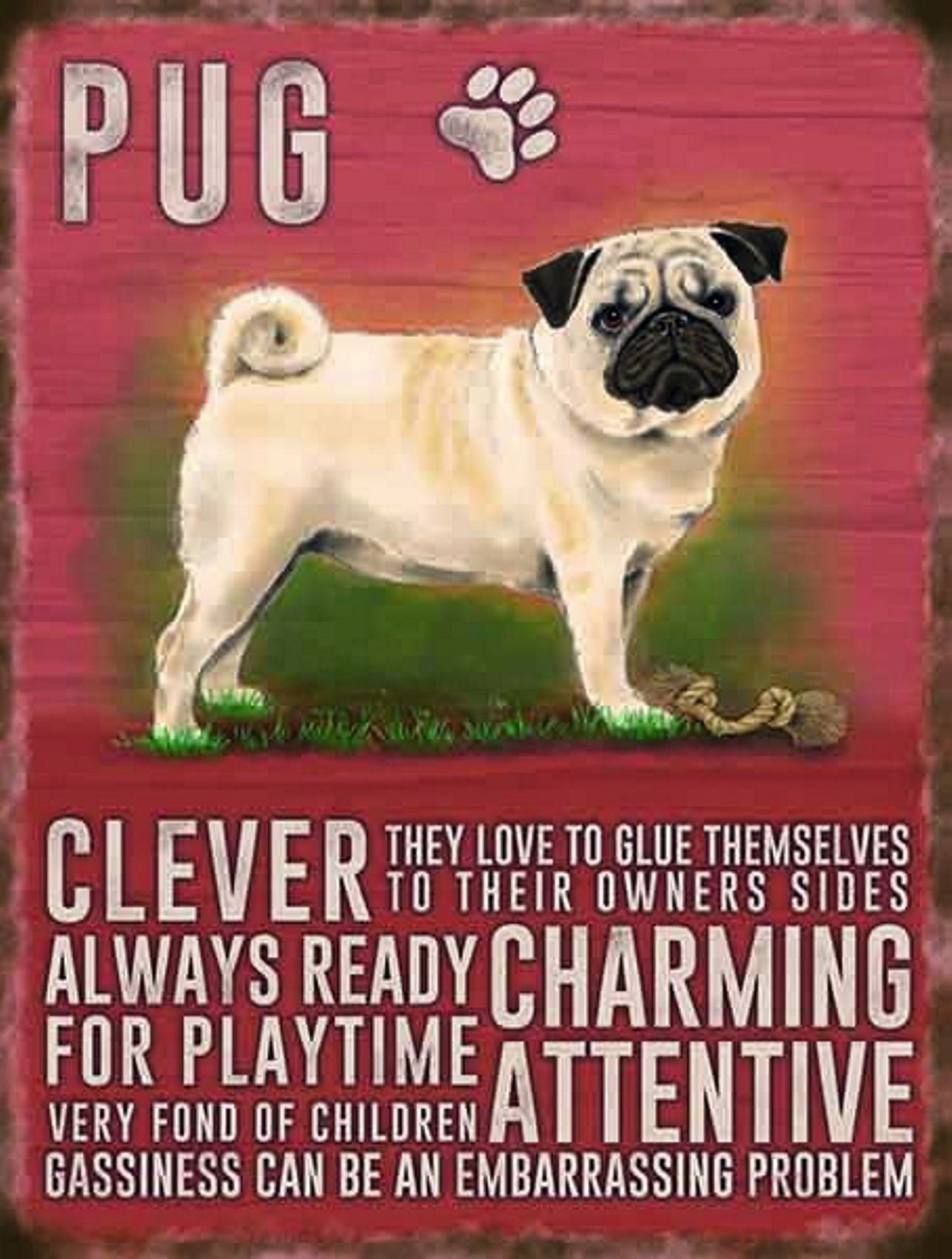 Vintage Style Retro Metal Sign Dog Lovers Owners Gift Tin Pedigree Dogs PUG