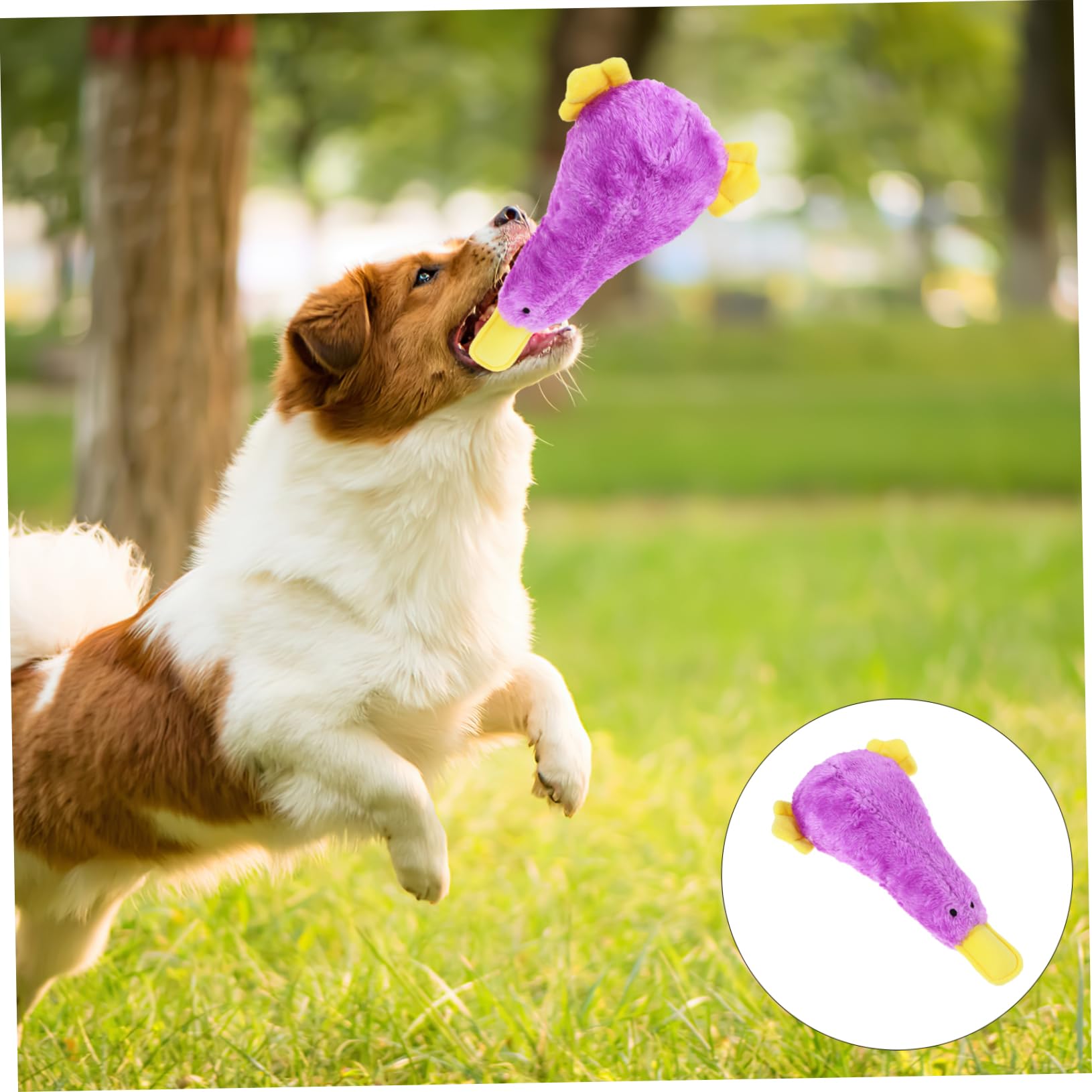 TOYANDONA Jouet Peluche Chien Couine pour Chiot Jouet à Mâcher Oiseau pour Animal de Compagnie Motif Dessin Animé