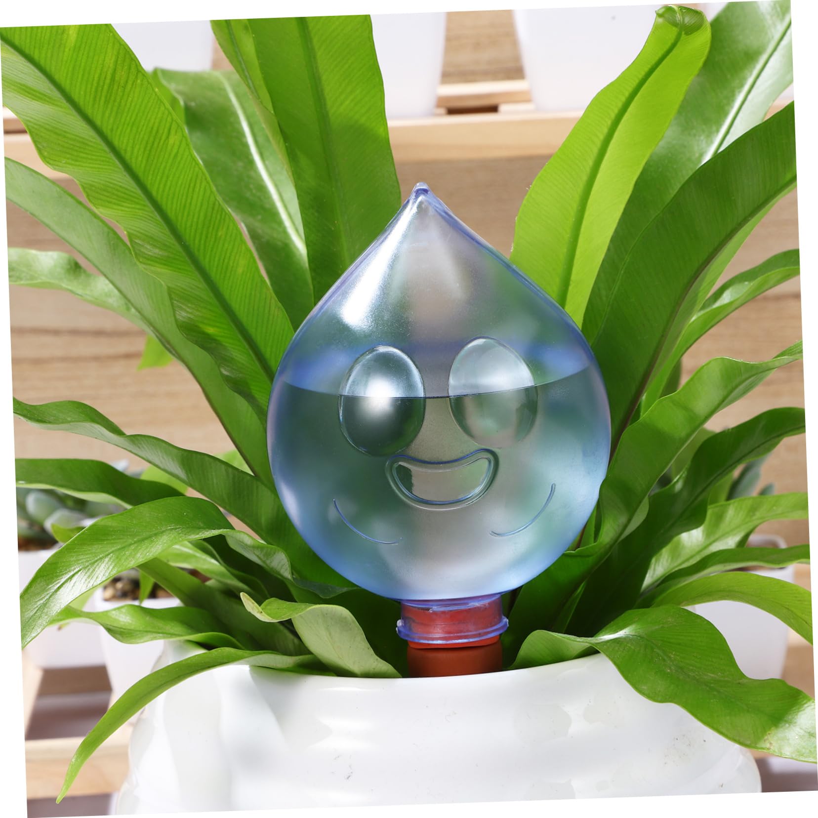 Hemoton 3 Pcs Self Watering Globes Automatic Plant Watering Devices for Indoor Plants Durable Bulbs Gardens and Bonsai