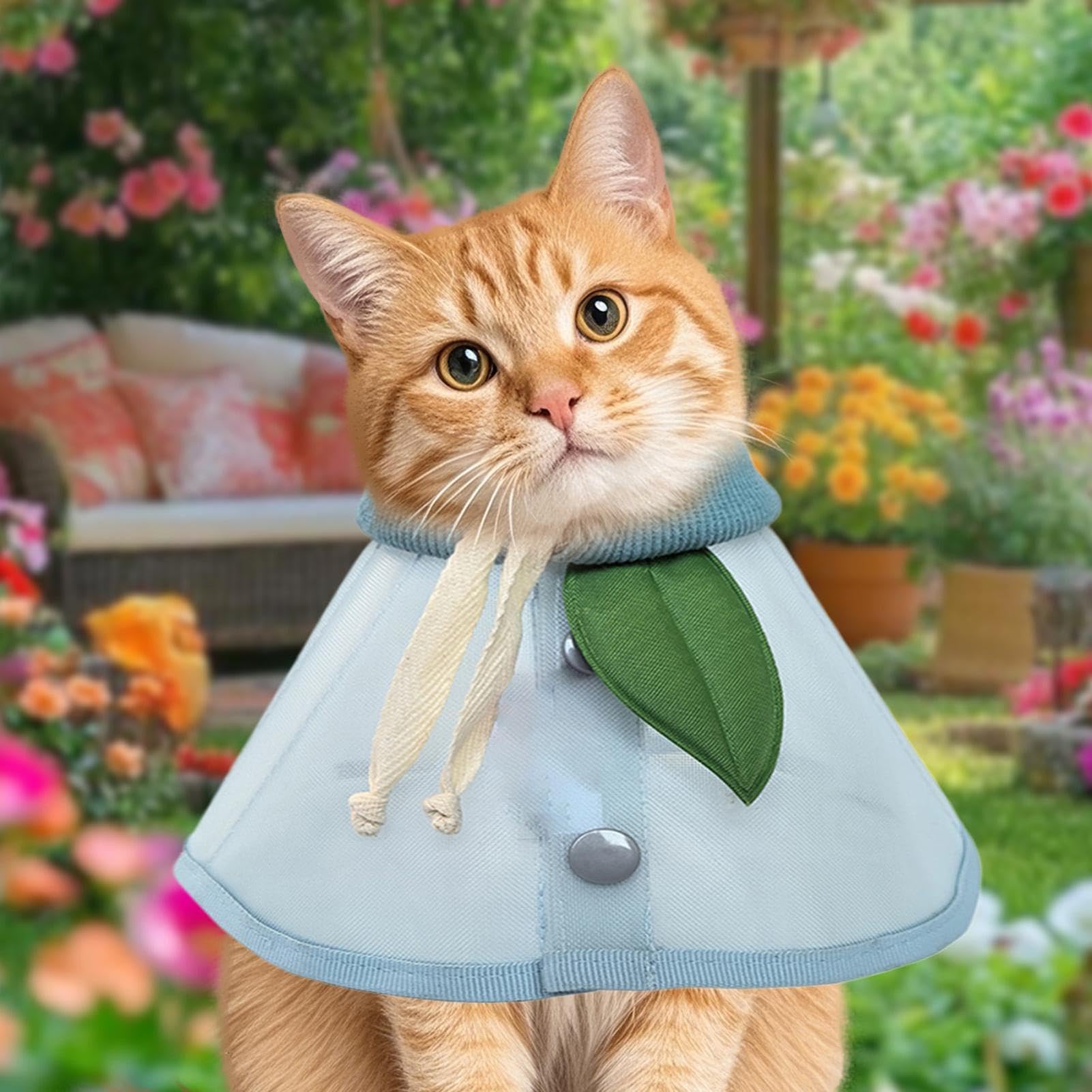 Imbuto per cani, protezione per il collo contro la lecca, collare a imbuto in rete traspirante, per razze piccole, medie e grandi, cuccioli, gattini, interni ed esterni, giardino e passeggiate