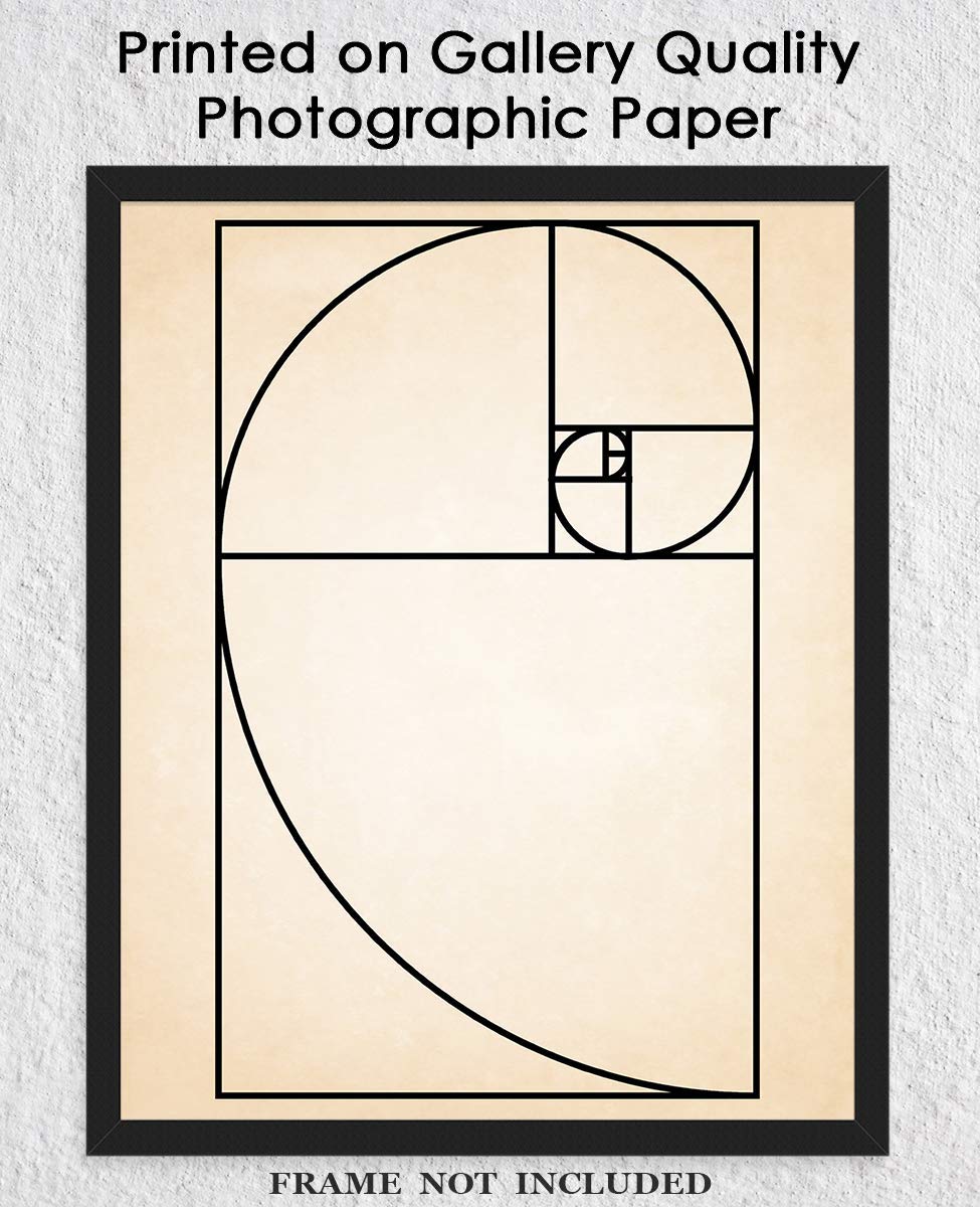 Buy Vintage Fibonacci Wall Decor Art Prints 8x10 Unframed Minimalist Wall Art for Home, Office