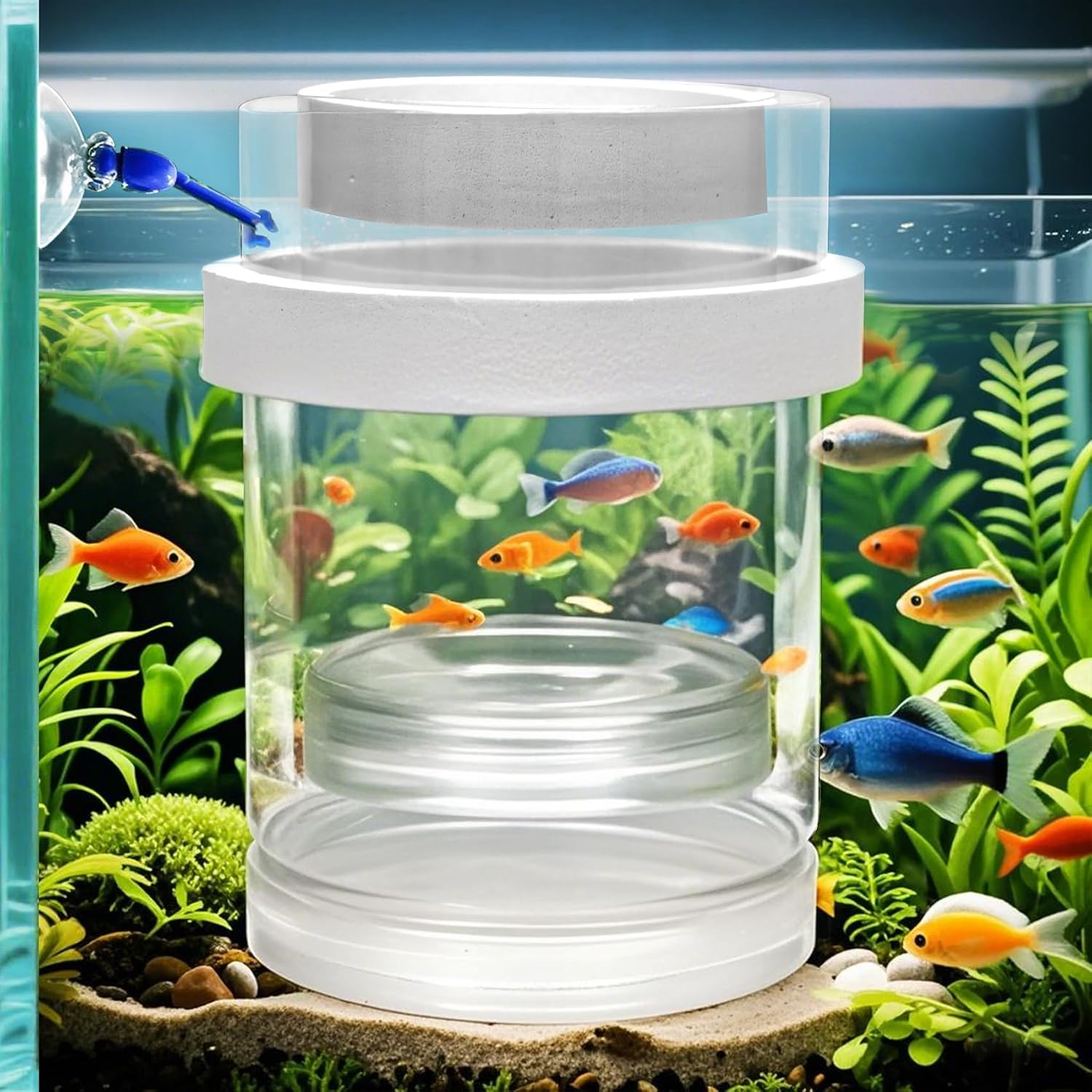 Floating & Mountable Breeding Box –...