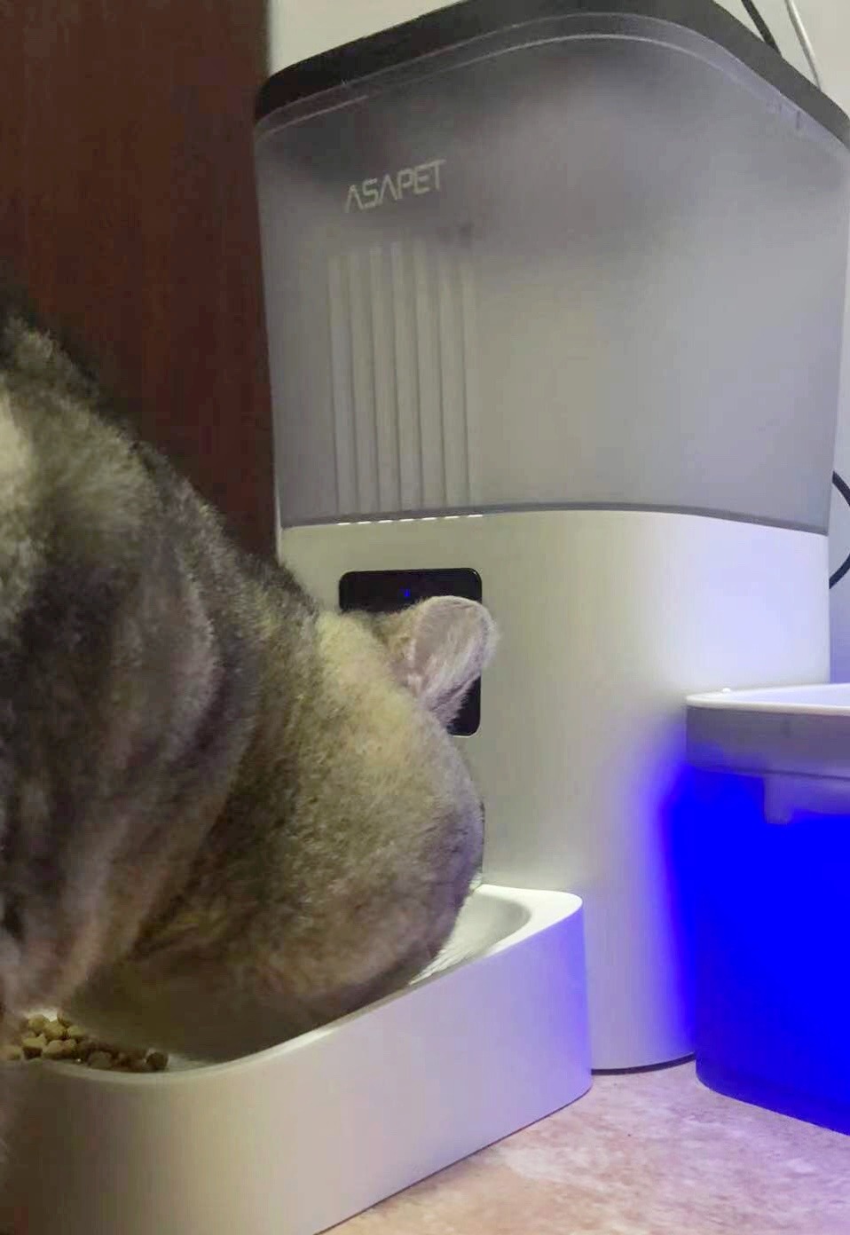 12/mo Finance Asapet 4L Automatic Cat Feeders and 2L Cat Water