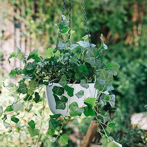 Miniatura 6 de KABB Cadenas de cesta colgantes, cadena de hierro negro, 20 pulgadas de largo x 20 pulgadas de ancho x 0.8 pulgadas de alto, interior/exterior,