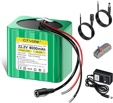 CITYORK 24V Lithium Battery 4000mAh with Charger, Bare Leads, Cable Connector for 24V Devices, DIY Projects, Speaker Box, Radio Equipment, CCTV Cemera, LED Light Strip, etc 22.2V-25.5V