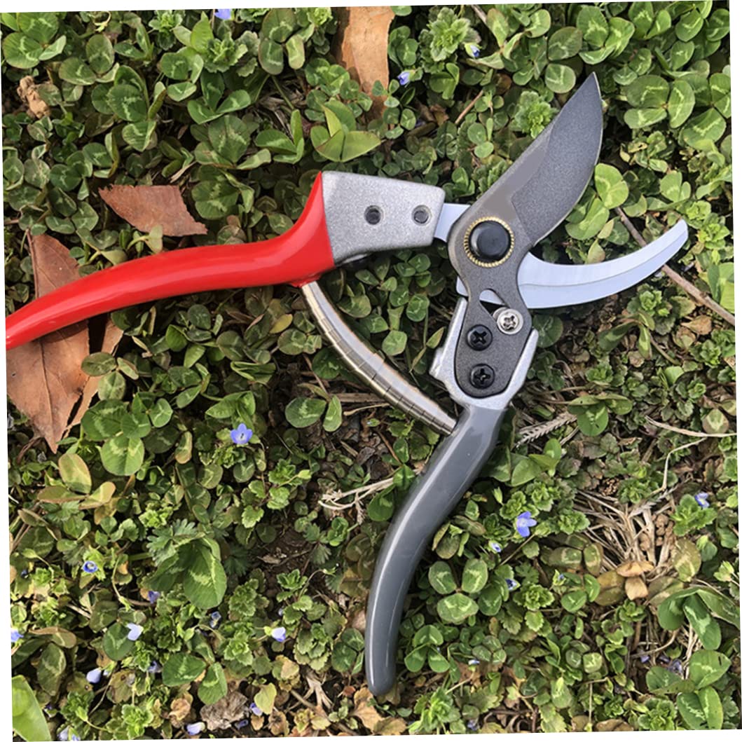 Spear & Jackson CUTTINGSET8 Traditionele bypass- en aambeeld tuinschaarset kopen? Vergelijk de