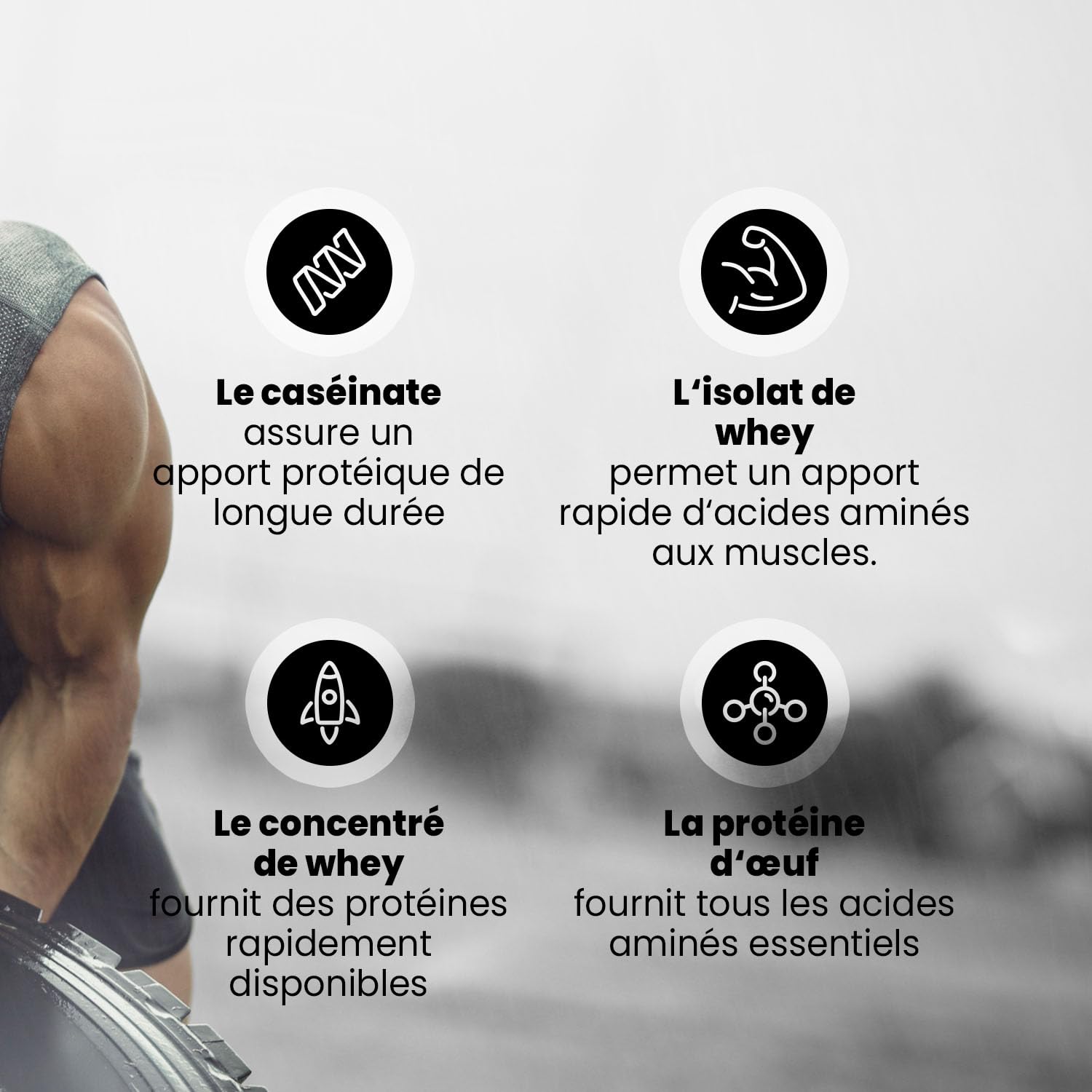 Best Body Nutrition Gourmet Premium Pro Protein Coconut 1000 g – 4-Component Protein Blend (Caseinate, Whey, Isolate, Egg) – Shake protéiné crémeux – Nutrition fitness & musculation