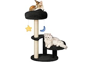 Could Cat Tree for Indoor Cats