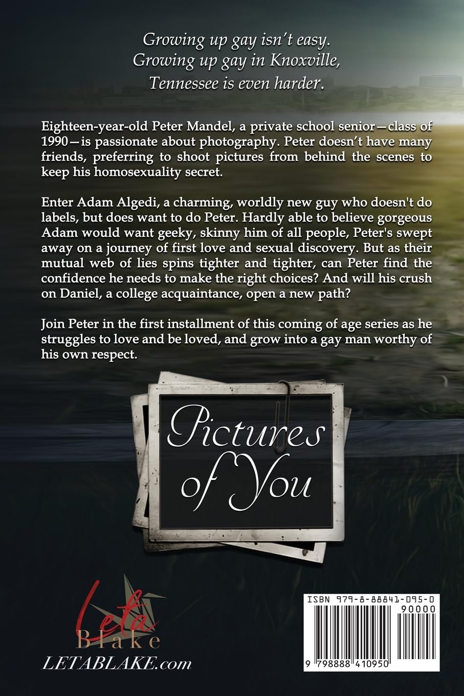Pictures of You: 1