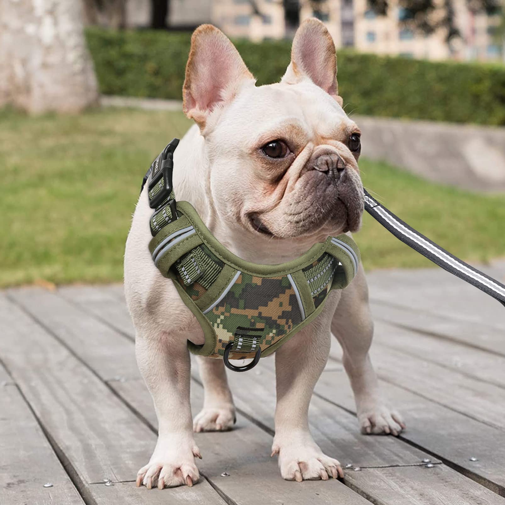 HEELE Pettorina Cane, Imbracatura Sganciata Rapido dal Collo, Pettorina Anti-tiro Riflettente e Regolabile con Maniglia Comoda, Morbida e Imbottita per Cani Piccola Media Grande, Mimetico Verde M