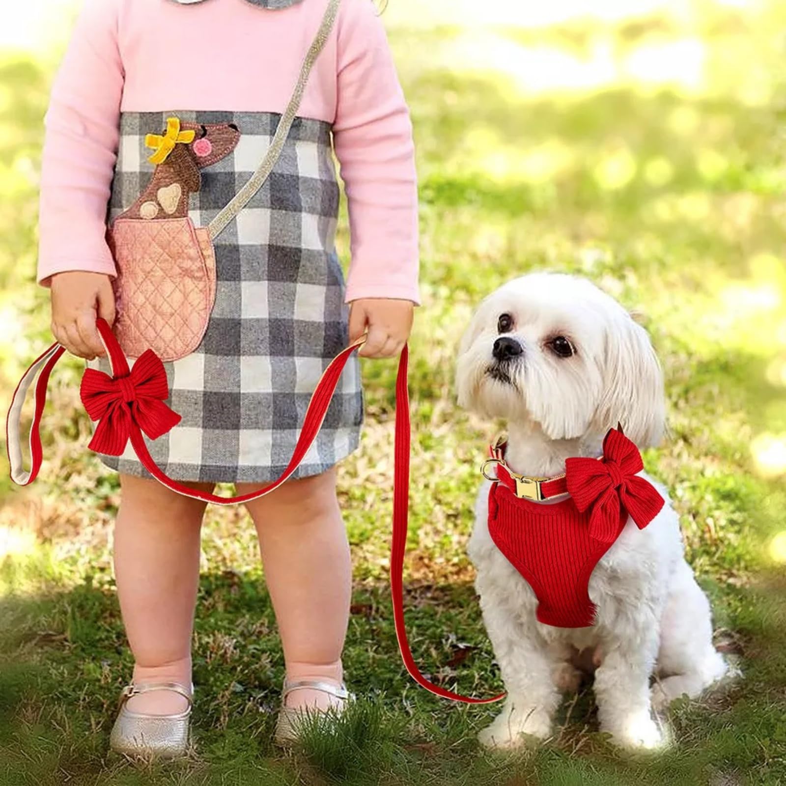 Juego de arnés y correa para perros medianos y pequeños, 3 collares y correas ajustables con pajarita, chaleco acolchado de malla suave transpirable para cachorros y perros pequeños, rojo, M