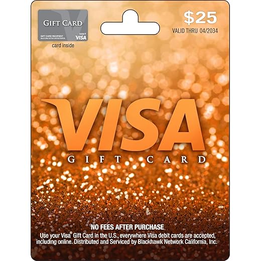 Visa $25 Gift Card (plus $3.95 Purchase Fee)
