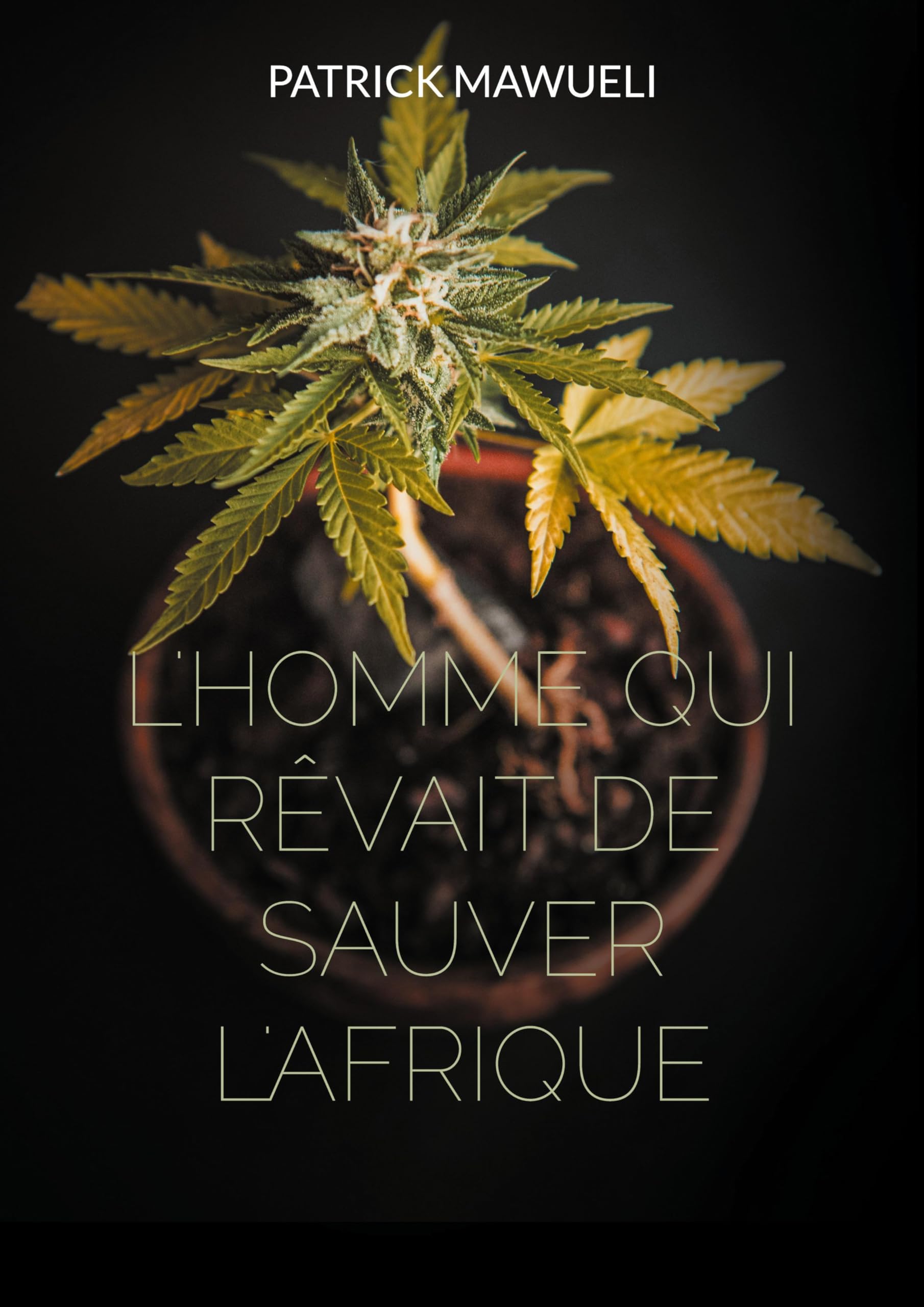 L'homme qui rêvait de sauver l'Afrique